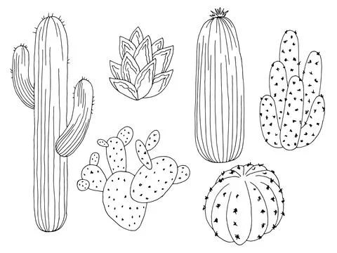 Cactus set graphic black white isolated sketch illustration vector Stock Illustration