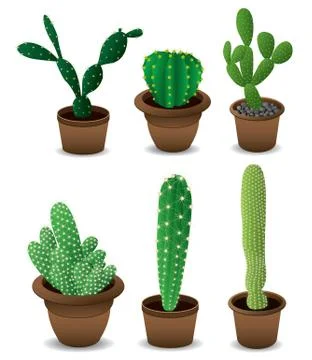 Cactus set 스톡 일러스트
