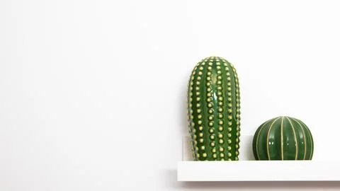 Cactus in a shelf with a white background Stock Photos