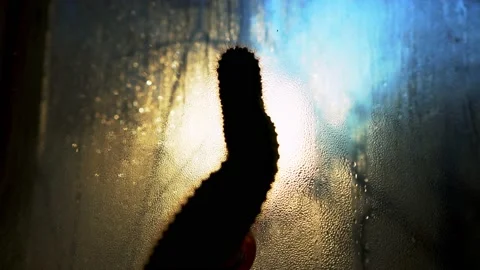 Cactus silhouette on the window, closeup. The sunset outside the window. Stock Footage 130781155