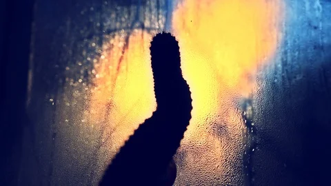 Cactus silhouette on the window.Cactus in front of raindrops falling on a window Stock Footage 124225441