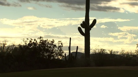 CACTUS SILLHOUETTE AND CLOUDS - Phoenix, AZ Stock Footage 99997891