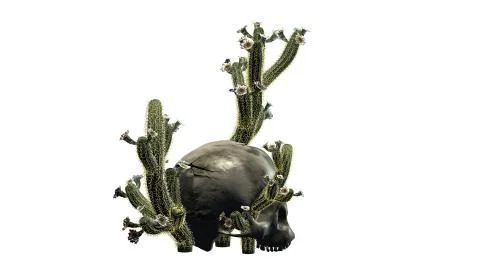 Cactus in skull -  isolated on white background Stock Illustration