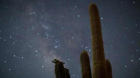 Cactus starlapse timelapse Stock Footage 5903316