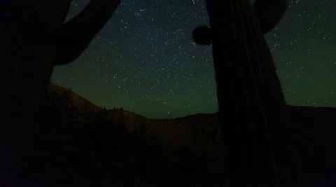 Cactus Stars 1 Video stock 53372632