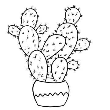 Cactus succulent in a decorated pot in black line outline cartoon style. Mexican Stock Illustration