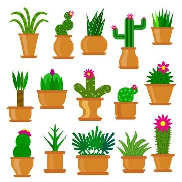 Cactus succulent flat cacti prickle flower in pot Stock Illustration