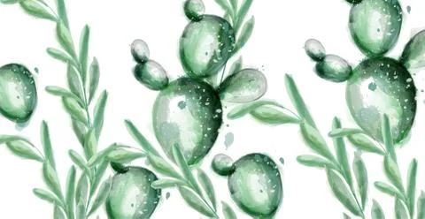 Cactus summer pattern Vector watercolor. Exotic dessert textures Stock Illustration