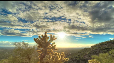 Cactus Sunset 5 Video stock 53770871