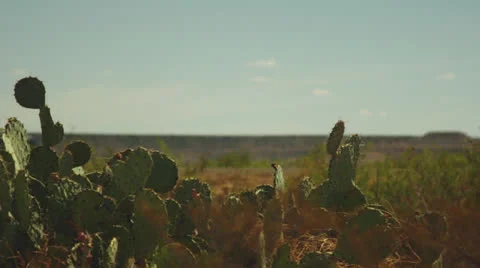 Cactus - Trucks Drive By Vídeos de archivo 26747558