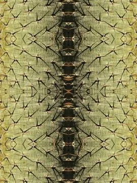 Cactus trunk with large prickles Stock Illustration