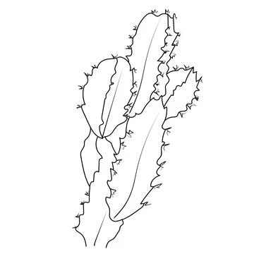 Cactus vector art, hand-drawn cactus, cactus coloring pages for kids Stock Illustration