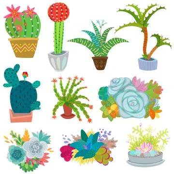 Cactus vector botanical cacti potted cute cactaceous succulent plant botany Иллюстрация