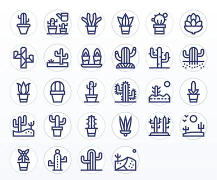 Cactus Vector Icon Set with 28 Bold Line 64x64 Pixel Optimized Graphics 스톡 일러스트