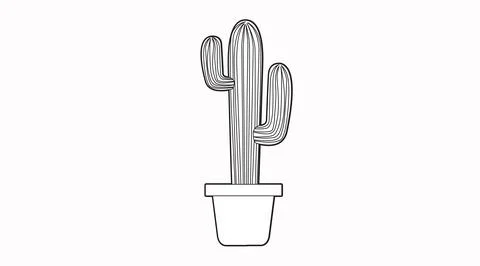 Cactus vector illustration. Stock Illustration