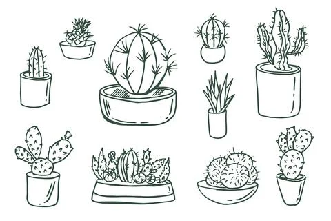 Cactus vector illustrations. Hand drawn outline cactus set. Cactus doodle plants Stock Illustration