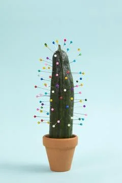 Cactus voodoo Stock Photos