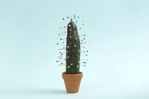 Cactus voodoo Stock Photos