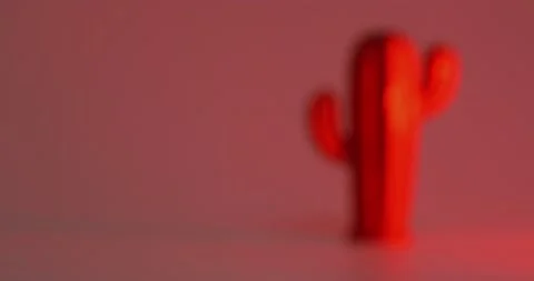 Cactus in white wall studio red light conceptual imagery 스톡 동영상 136201533