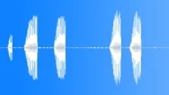 Cactus Wren CU Song Sound Effect