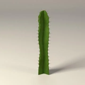 Cactus04 3D Model