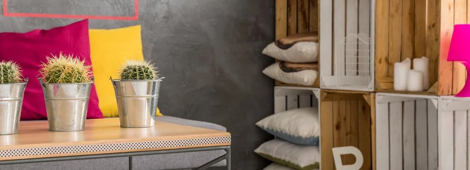 Cactuses and boxes Foto stock