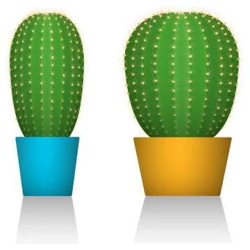 Cactuses in colorful pots. Different forms. White background. Isolated. Stock Illustration