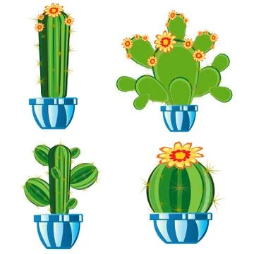 Cactuses in pot Stock Illustration