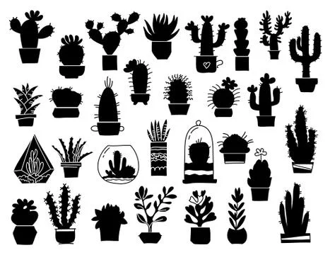 Cactuses silhouette. Vector set cactuses, aloe and leaves Collection of exoti Stock Illustration