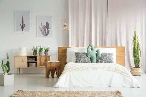 Cactuses in spacious bedroom Stock-Fotos