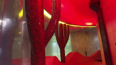 Cactusi Interior Decoration Of Spa Centre Stock-Footage 77069746