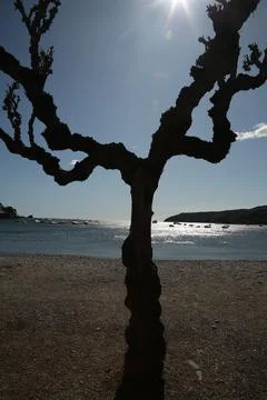 Cadaques, Spain  9 Stock Photos