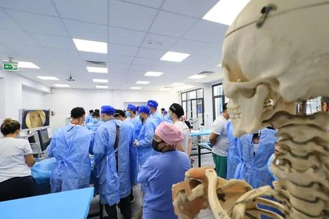 Cadaver workshop surgery Stock Photos