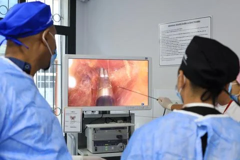 Cadaver workshop surgery Foto stock