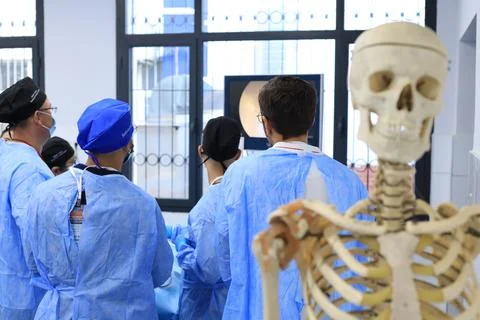 Cadaver workshop surgery Foto stock