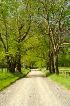 Cades Cove in the Spring Stock Photos