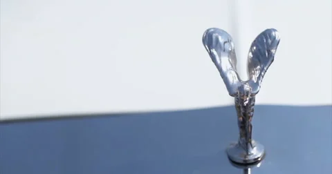 Cadillac. Emblem, close-up. Video stock 51325360