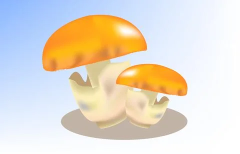 Caesar mushroom Stock Illustration