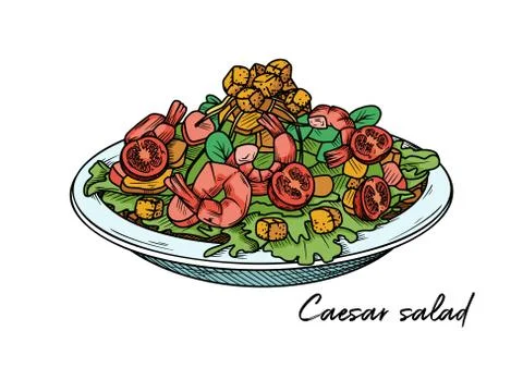 Caesar salad with shrimp isolated on a white background. Sketch Stock Illustration