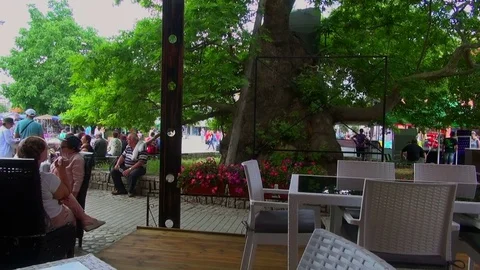 Cafe at the ancient sycamore tree in Ohrid Video stock 70990232