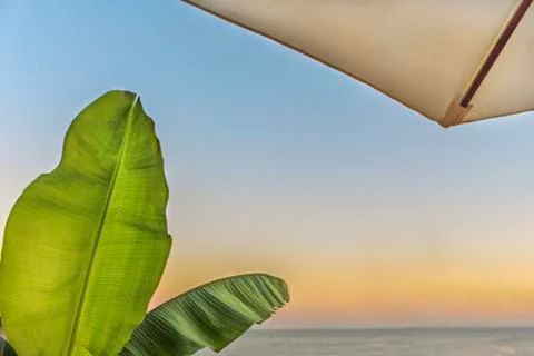 Cafe on the beach, big leaf ocean and sky Foto stock