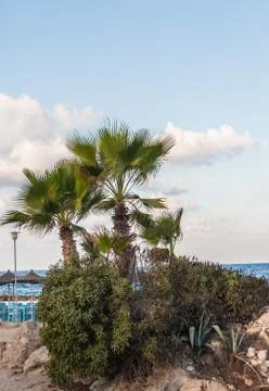 Cafe on the beach Фото