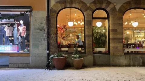 Cafe chat Video stock 328831078