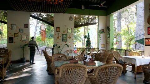 Cafe in the forest Stock Footage 238925128
