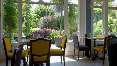 Cafe Interior Decor Classical Vintage Furniture Plate Restaurant Lifestyle Stock Footage 258347157