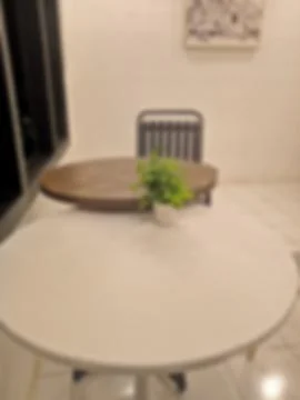 Cafe Interior with Tables and Small Plant Pot at Night Фото