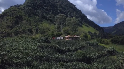 Cafe Jardin [Drone Approach] Video stock 114837361