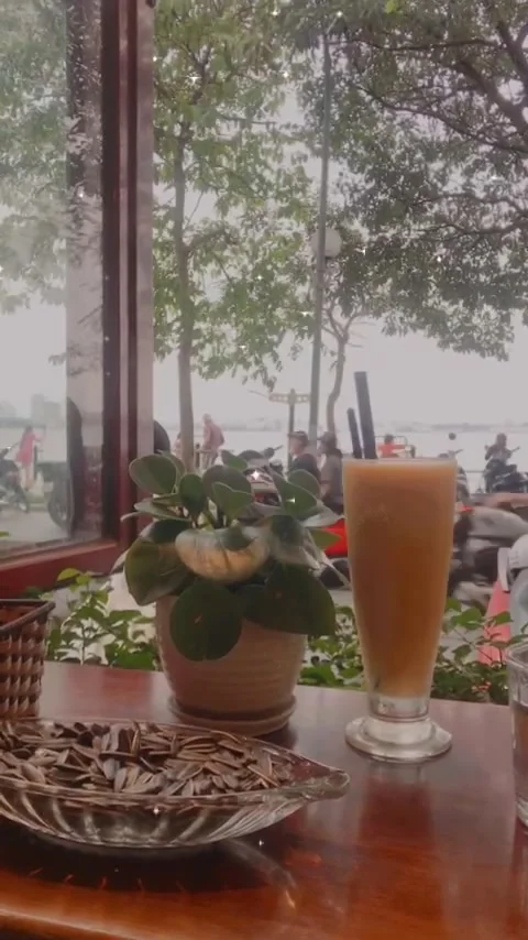Cafe morning Stock Footage 237079117