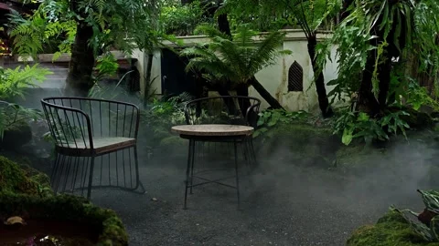 Cafe in nature concept with dried ice snoke. Stock Footage 305043616