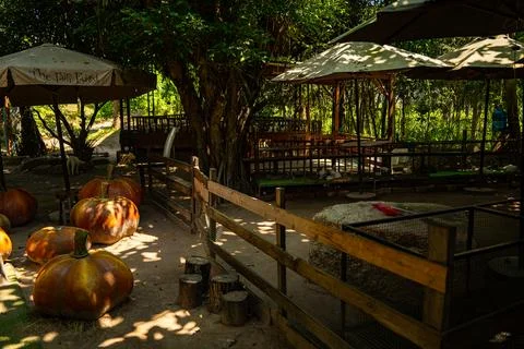 Cafe in the park. Photos